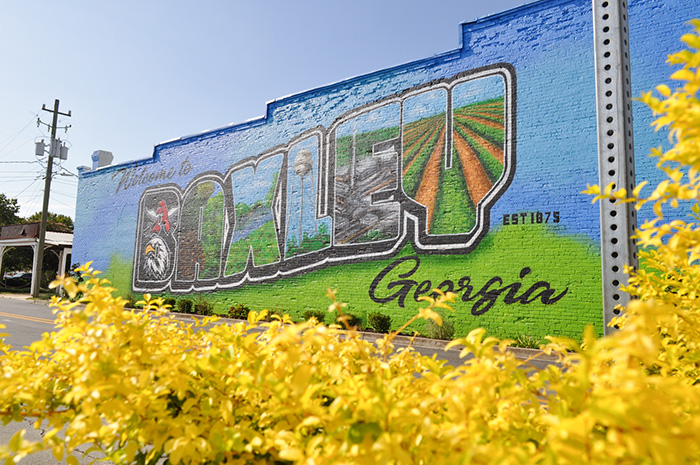 picture of Baxley, Georgia mural with flowers