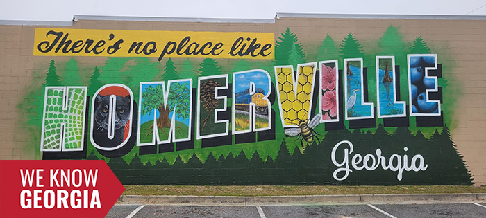 In addition to streetscaping and proposed renovations, the RSVP recommended murals designed specifically for Homerville and its residents. Inspired by the Okefenokee Swamp and local agriculture, Stancil and Kaitlin Messich, institute faculty, presented designs for both wall and asphalt murals that have since been completed.