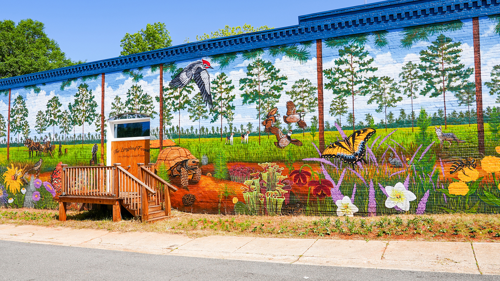 picture of mural in Buena Vista