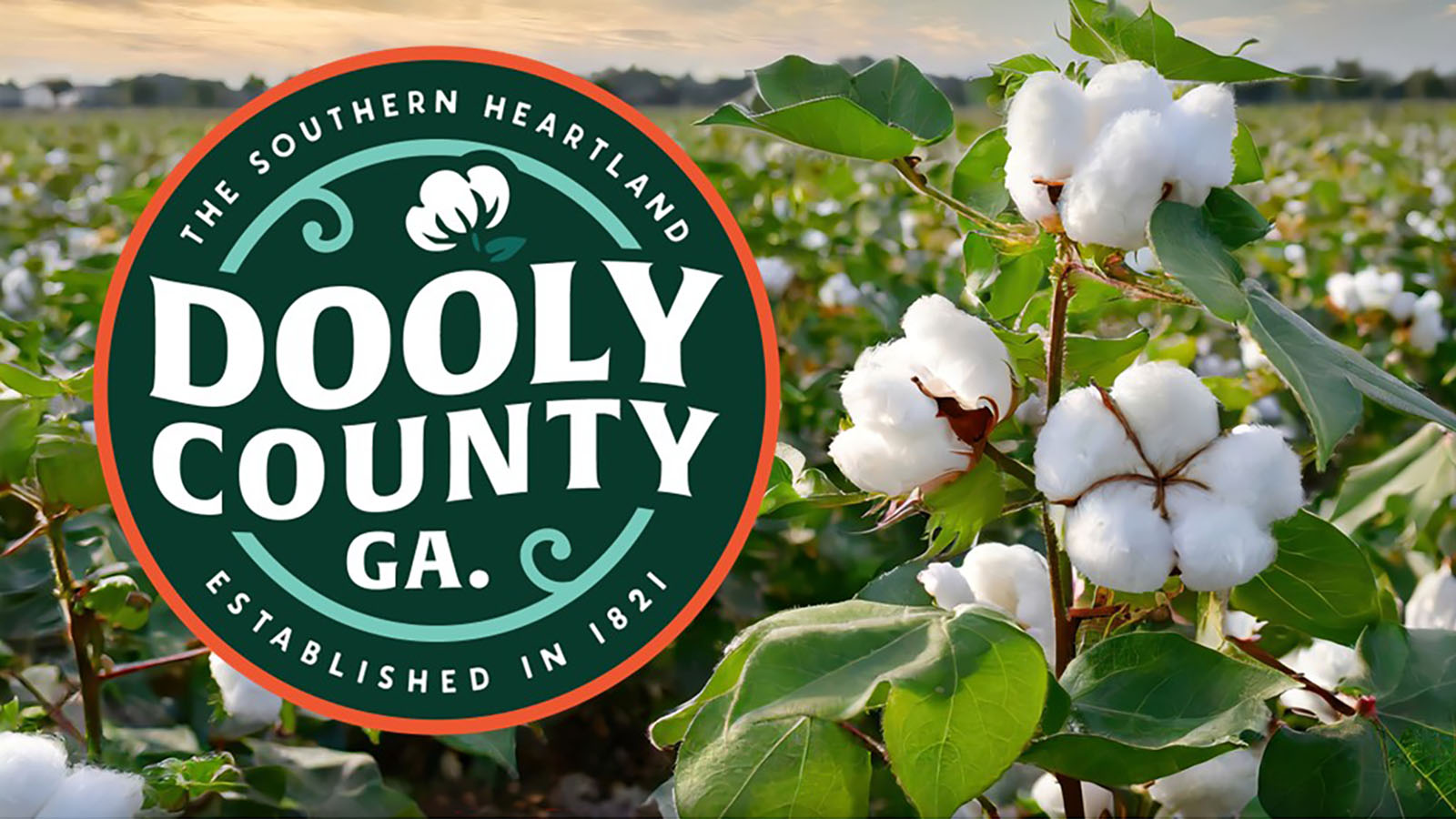 The Dooly County Industrial Development Authority partneredwith the University of Georgia Carl Vinson Institute of Government to develop the secretsauce for a brand that reflects Dooly’s authentic spirit. This brand honors the county’sidentity and helps it grow with intention.