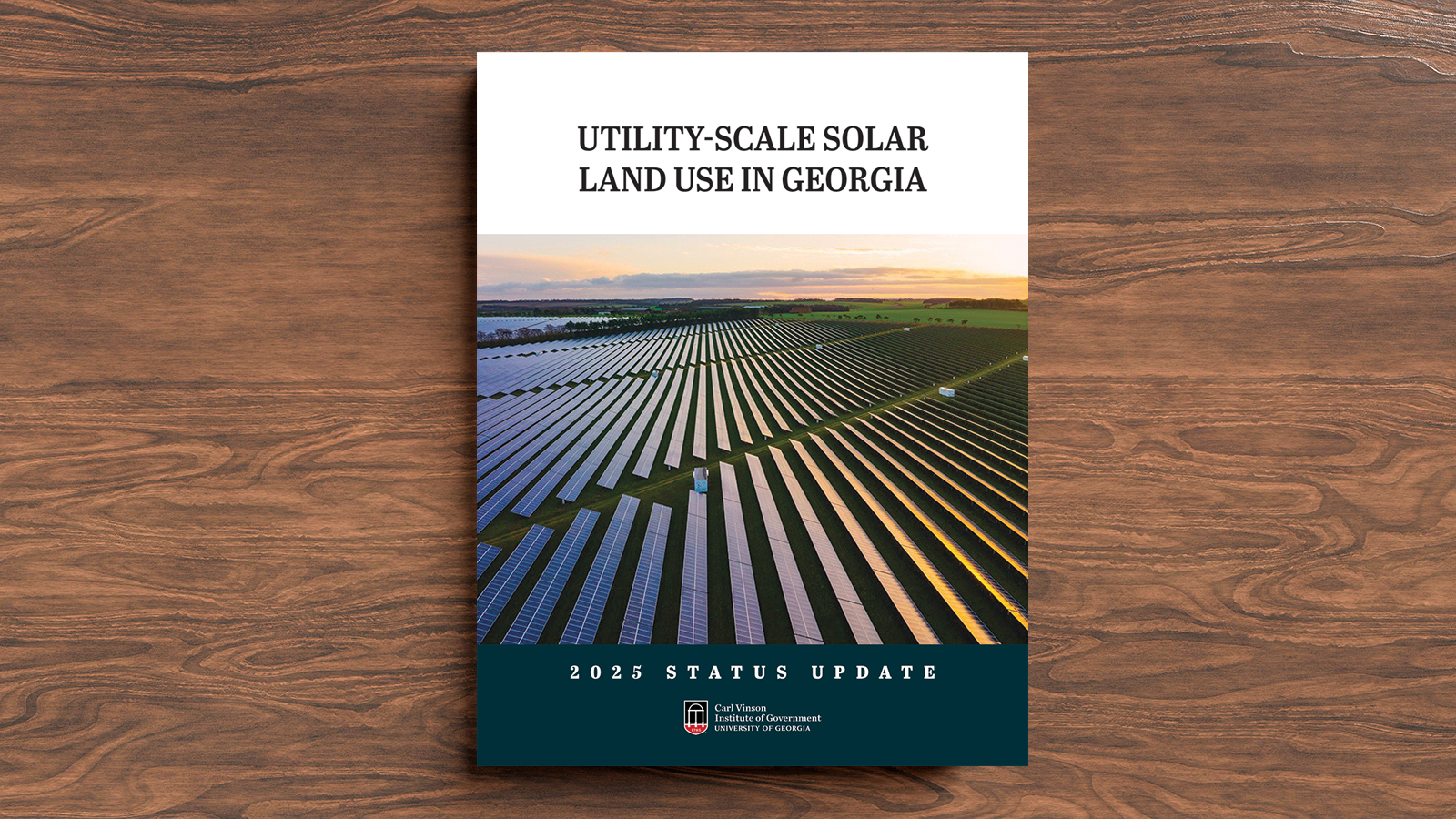 cover of EV Snapshot